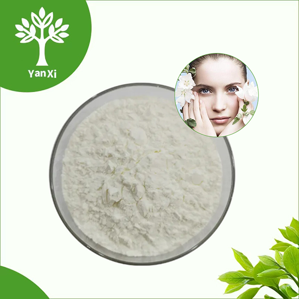 Vitamin B3 Niacinamide Powder Vitamin B3 Niacinamide Powder